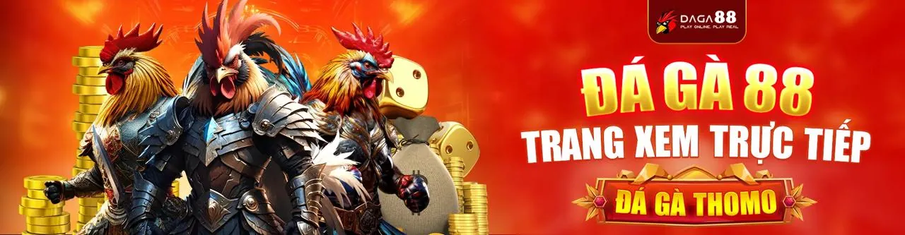 Đá gà trực tuyến kịch tính trên SV666 App