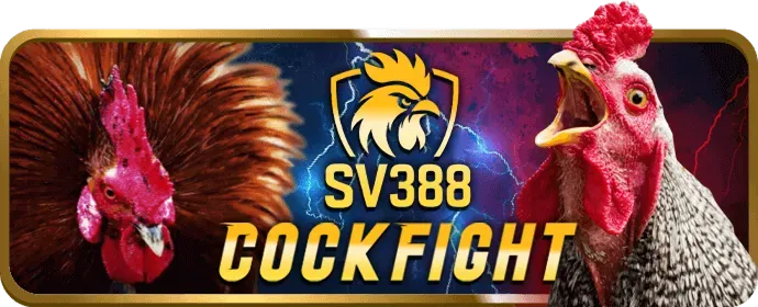 Các tính năng nổi bật của SV666 app