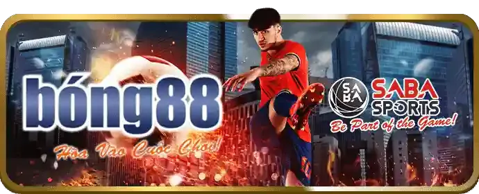 Hỗ trợ khách hàng SV666 app